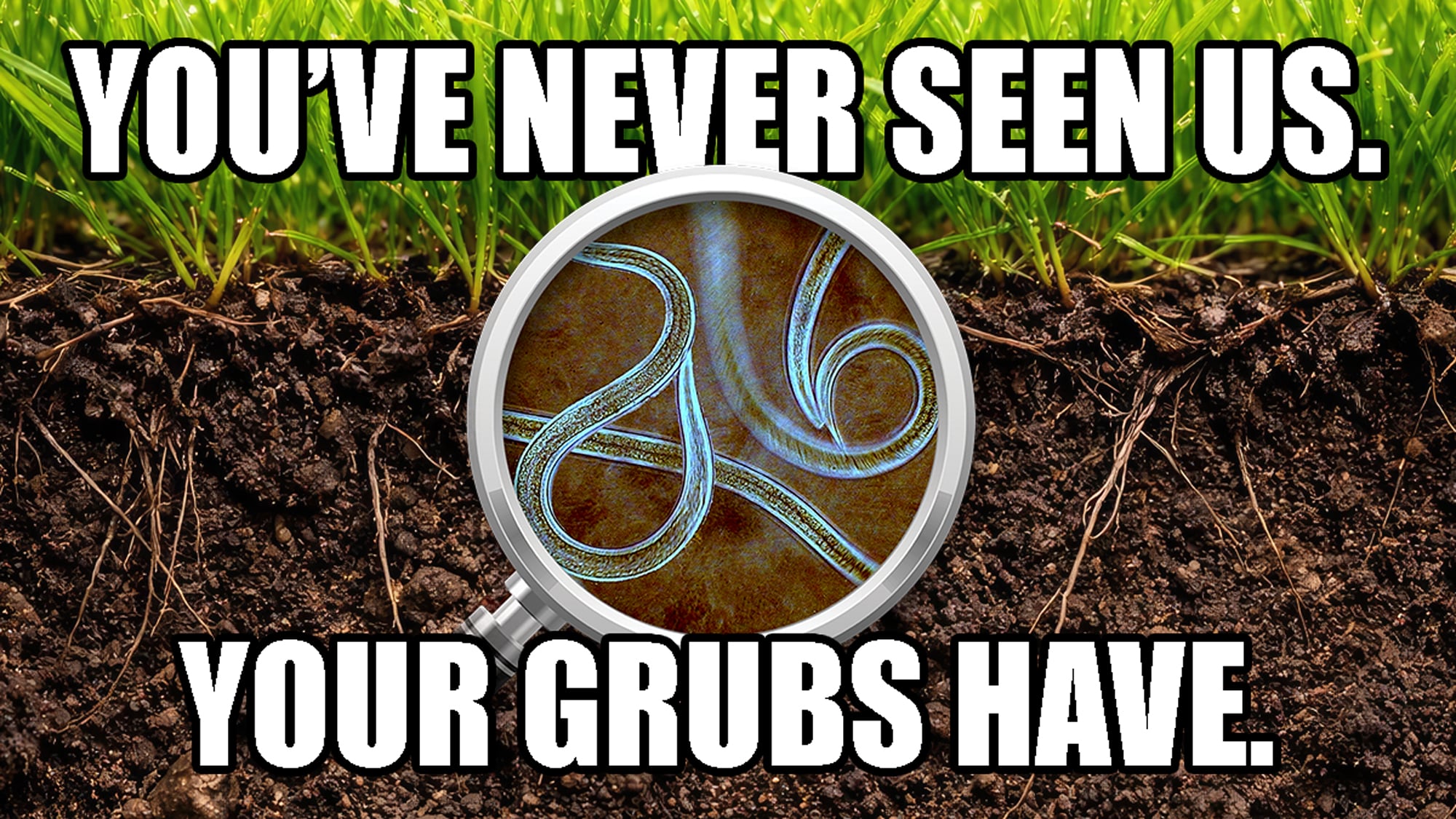 Your-Grubs-Have-Seen-Us